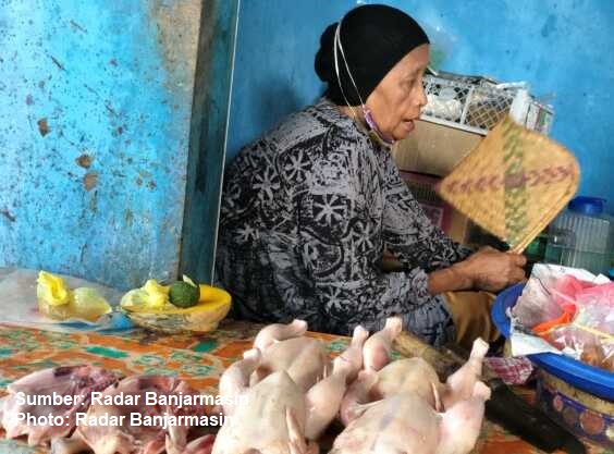 flu burung di banjarmasin